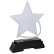 TROPHEE STANDARD METAL