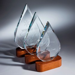 TROPHEE VERRE BOIS